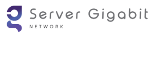 Server Gigabit Network Hosting